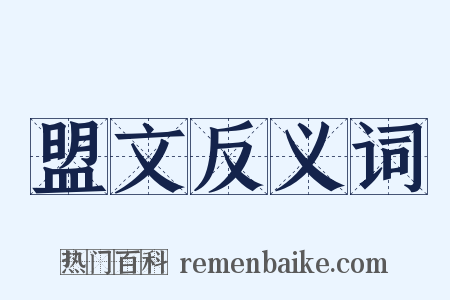 盟文反义词是什么意思的图片